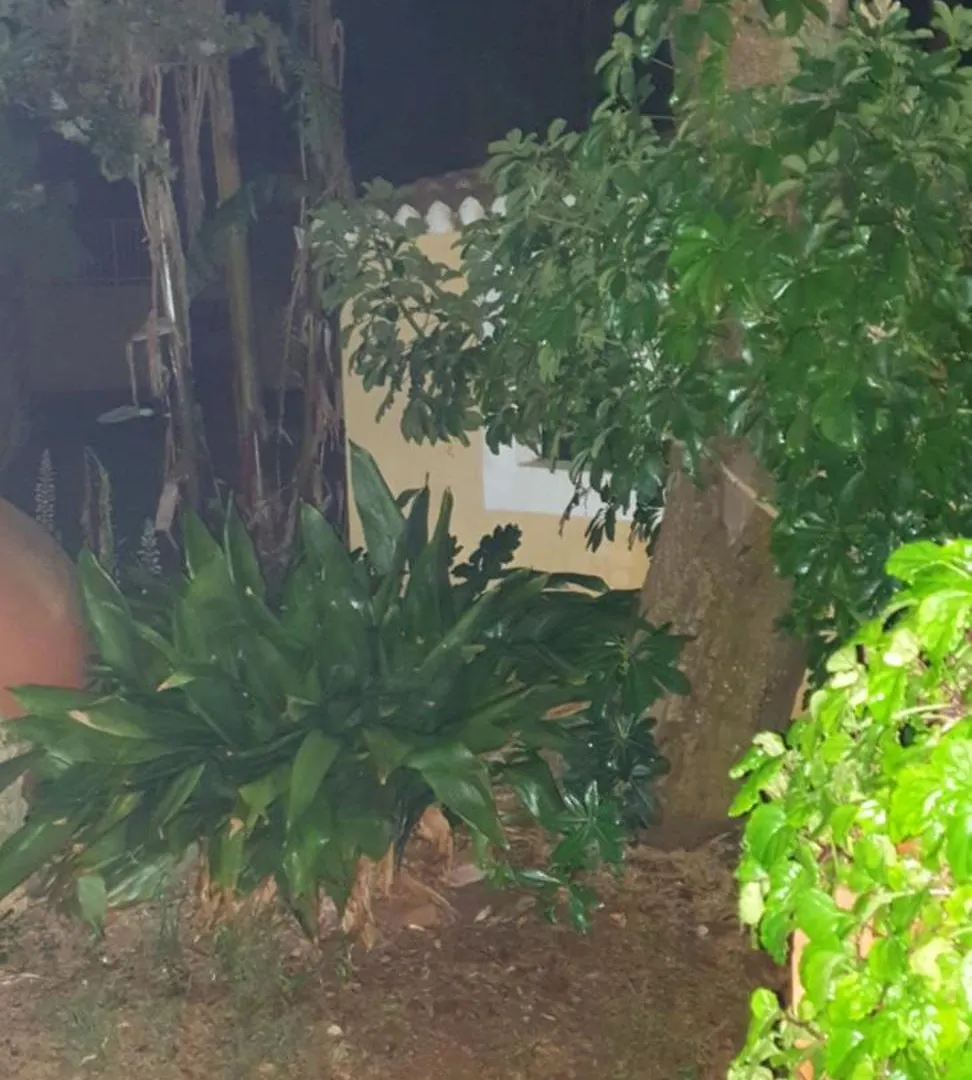 Casa Rural 6-9 Personas Son Carrio